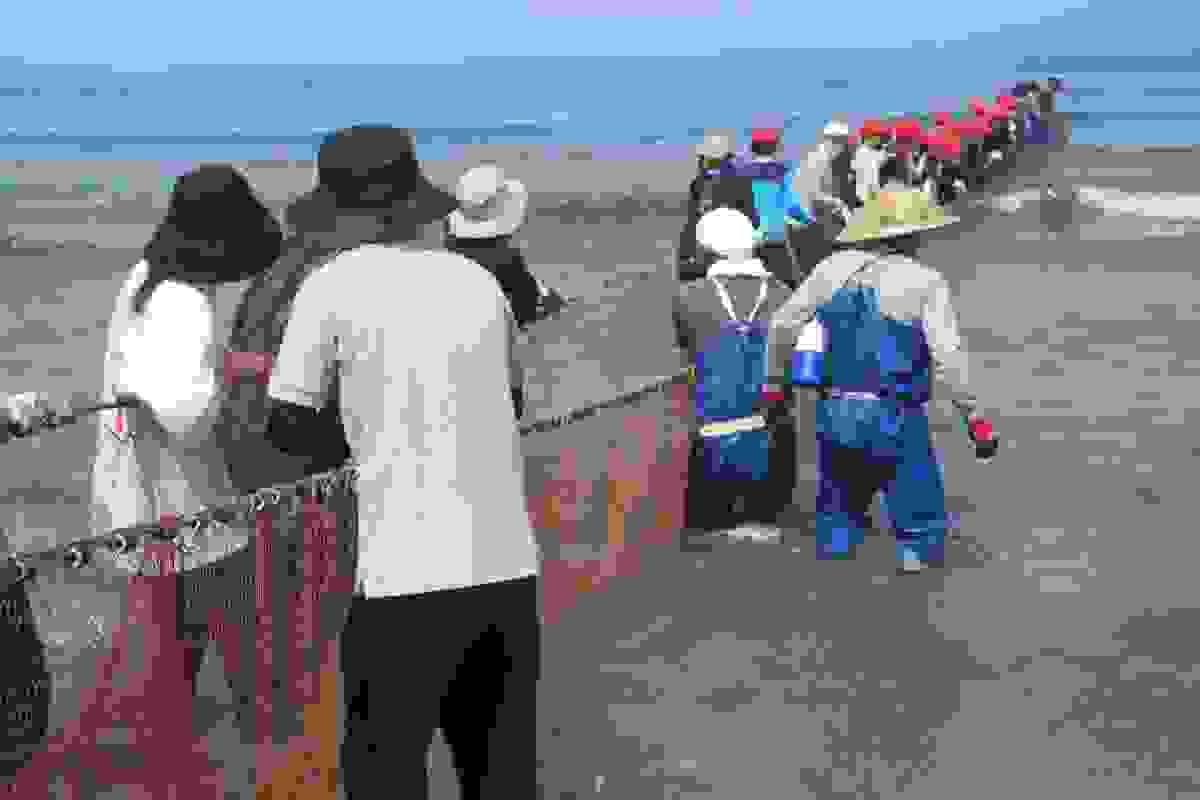 地引網体験