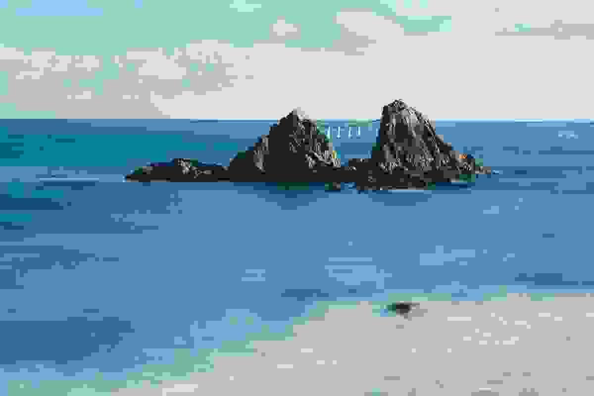 Section image