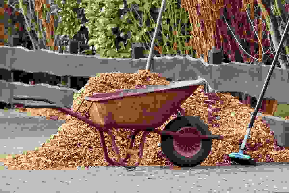 broken image