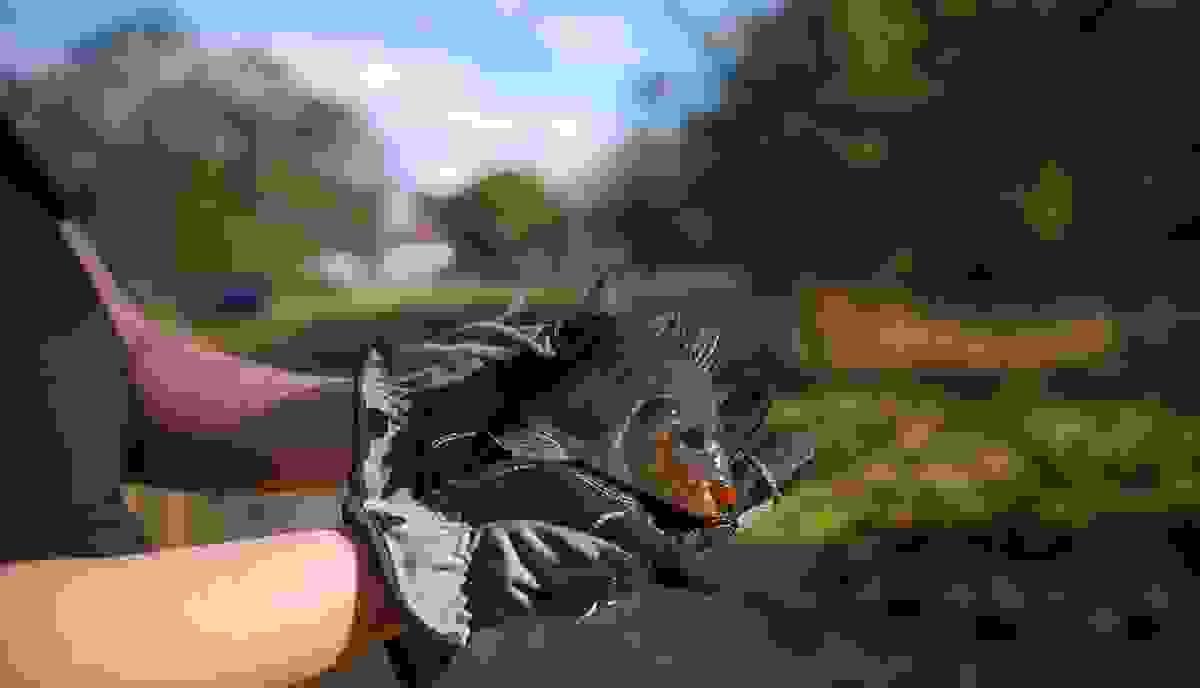 Join us, enjoy unique social experiences and professional event services, enhance your social life. Explore our club services Clubhouse Join us, enjoy unique social experiences and professional event services, enhance your social life. Explore our club services Clubhouse