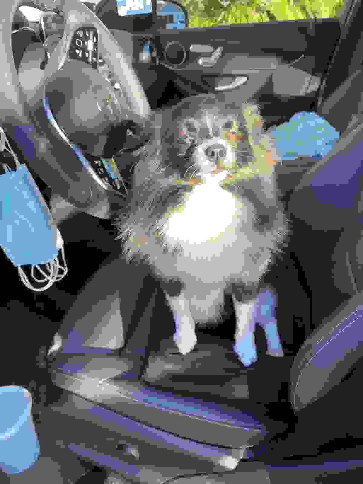 broken image