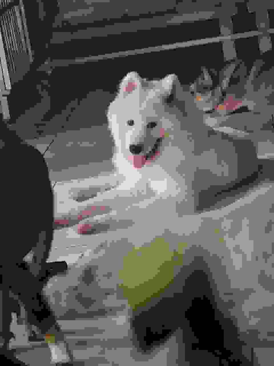 broken image