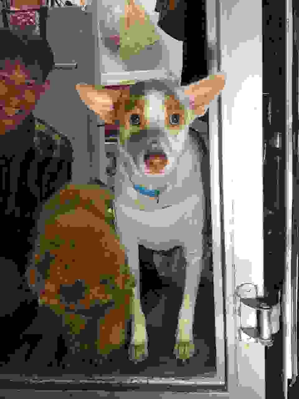 broken image