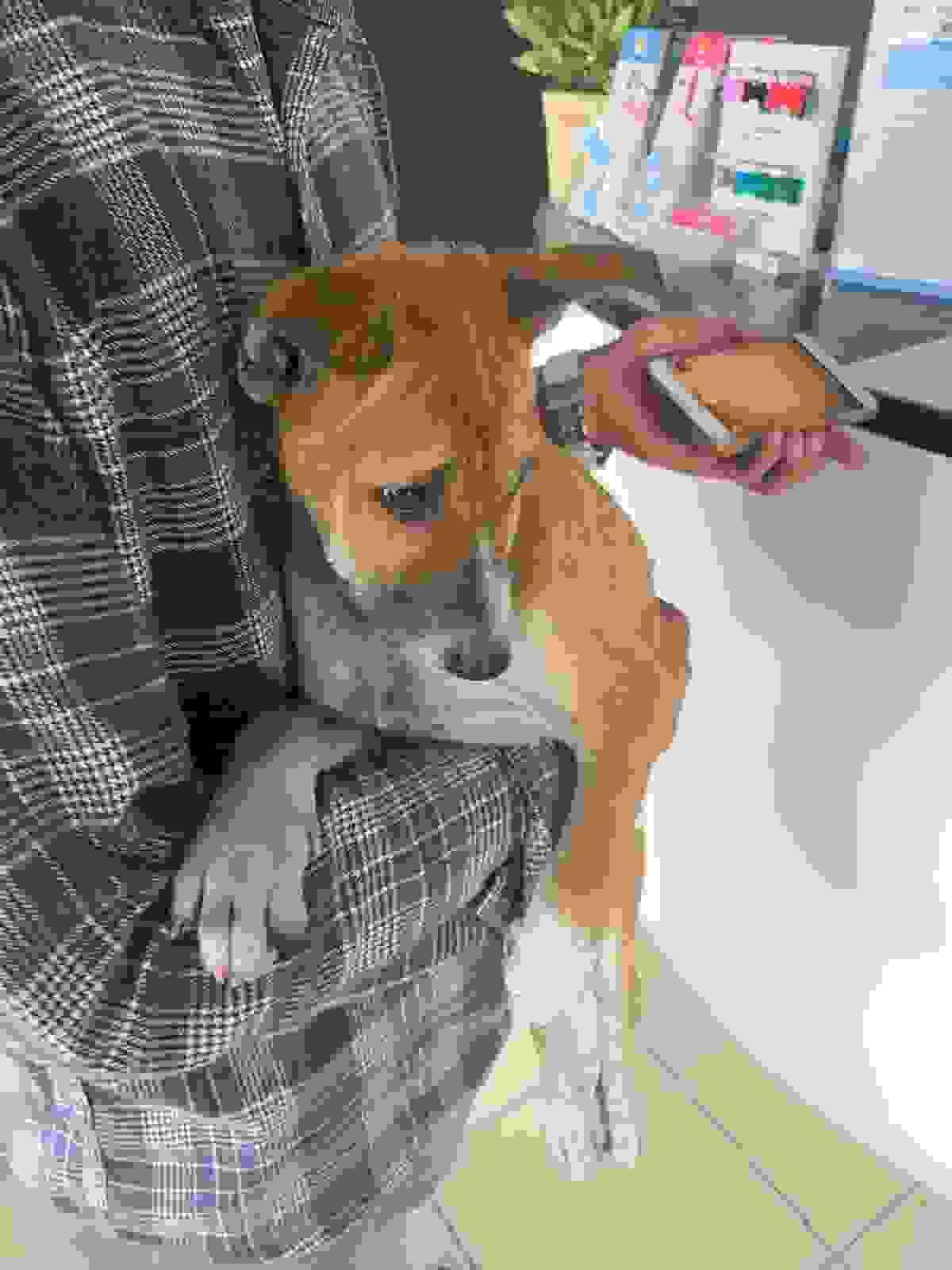 broken image