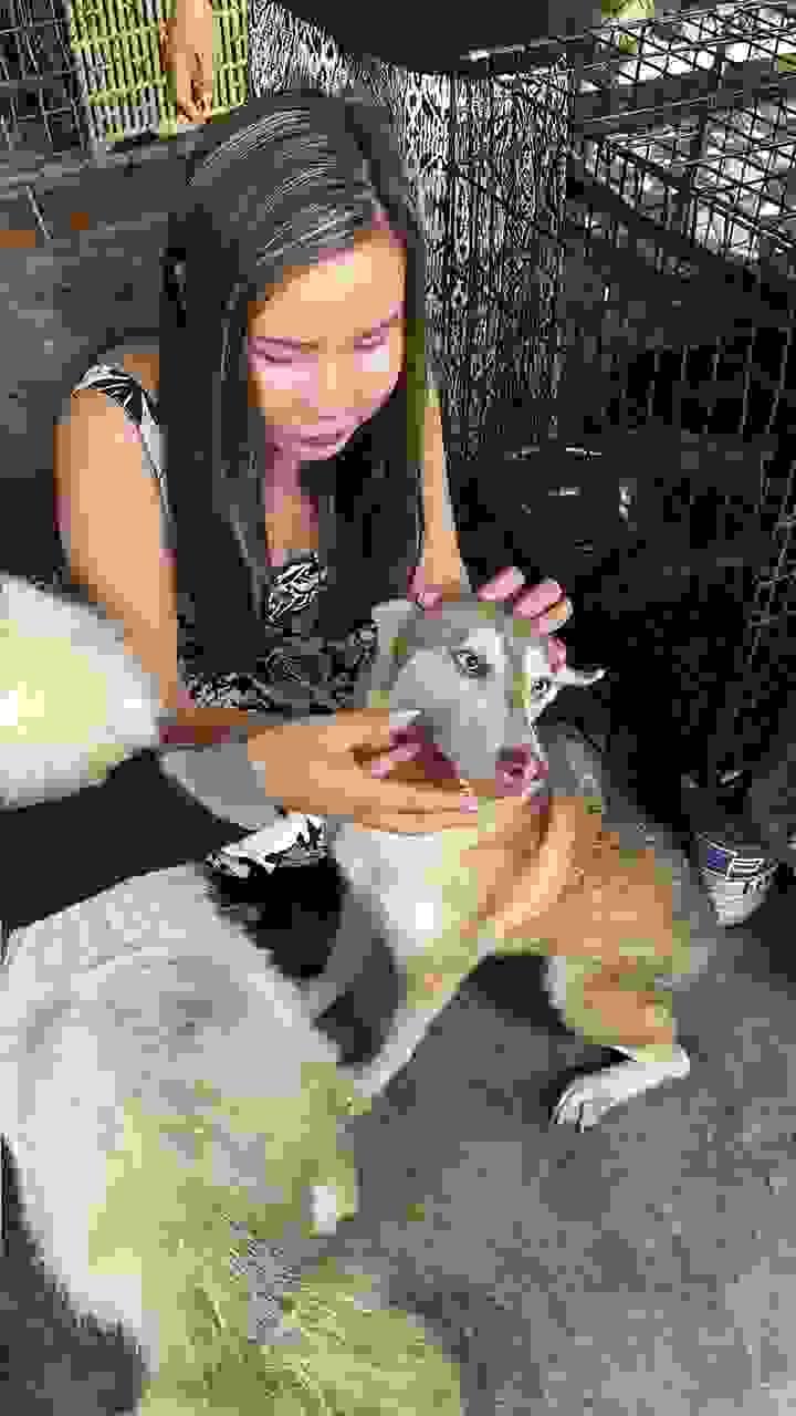 broken image