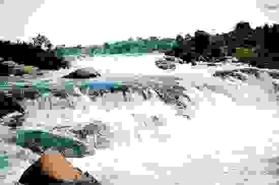 Section image