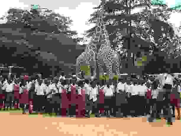 Section image