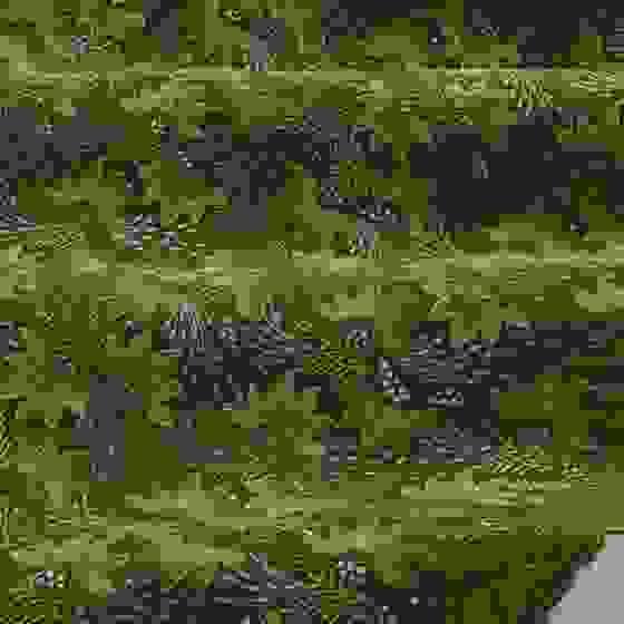 broken image