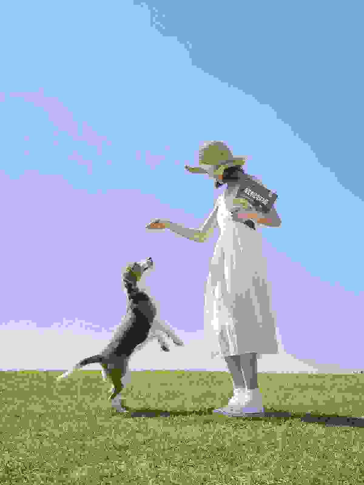 Constant temperature drying design, reduce pet anxiety, avoid traditional hair dryer overheating problem. automatic drying Our function Pet Automatic Washing Machine Business Introduction 1. Product Overview The automatic washing machine is an intelligent device designed specifically for pet stores, beauty salons, and individual households. It can automatically complete pet washing, drying, and other care processes, improving washing efficiency, reducing labor costs, and ensuring the comfort and safety of pets. 2. Target Market Pet Stores and Beauty Salons: Improve washing efficiency, reduce manual operation risks, and increase customer satisfaction. Pet Hospitals: Used for cleaning pets, improving hygiene standards, suitable for post-operative care. Individual Households: Provide convenient home pet cleaning solutions, suitable for families with multiple pets. 3. Main Functions ✅ Intelligent Washing: Multiple modes (such as deep cleaning, quick wash, sensitive skin mode) can adjust water pressure and temperature according to pet hair type and size. ✅ Automatic Drying: Constant temperature drying, reducing pet anxiety, avoiding overheating issues with handheld dryers. ✅ Eco-friendly Water Use: Efficient filtration and circulation technology, saving water usage and reducing costs. ✅ Sterilization and Disinfection: Built-in UV sterilization function, ensuring cleanliness and hygiene, reducing the risk of skin diseases. ✅ Intelligent Control: APP remote operation, providing real-time monitoring and personalized settings. 4. Competitive Advantages 🔹 Save Time and Labor: Compared to traditional hand washing, saves an average of over 50% of time. 🔹 Reduce Pet Anxiety: Low noise design, reducing discomfort for pets during bathing. 🔹 Simple Operation: One-click start, no professional training required to get started. 🔹 Diverse Revenue Opportunities: Can be combined with membership systems, one-time charges, etc., to increase profits. 5. Marketing Strategy 📌 B2B Cooperation: Collaborate with pet stores and beauty salons to provide rental or sales solutions. 📌 B2C Promotion: Targeting pet-owning families, selling through e-commerce platforms, social media, and physical channels. 📌 Experience Marketing: Hold free trial activities to enhance market acceptance and brand awareness. 6. Investment and Revenue Analysis Equipment Cost: Price ranges from NT300000 New Taiwan Dollars Payback Period: Based on customer usage frequency, expected to break even within 18 months Profit Model: Equipment sales + consumable sales + maintenance services 7. Future Development Direction 🔸 Increase AI Functions: Use AI to identify pet breeds and provide personalized washing and care suggestions. 🔸 Expand Market: Enter emerging fields such as pet-friendly hotels and pet cafes. 🔸 Smart Networking: Integrate with other smart pet devices to create a complete smart pet care system. Constant temperature drying design, reduce pet anxiety, avoid traditional hair dryer overheating problem. automatic drying Our function Pet Automatic Washing Machine Business Introduction 1. Product Overview The automatic washing machine is an intelligent device designed specifically for pet stores, beauty salons, and individual households. It can automatically complete pet washing, drying, and other care processes, improving washing efficiency, reducing labor costs, and ensuring the comfort and safety of pets. 2. Target Market Pet Stores and Beauty Salons: Improve washing efficiency, reduce manual operation risks, and increase customer satisfaction. Pet Hospitals: Used for cleaning pets, improving hygiene standards, suitable for post-operative care. Individual Households: Provide convenient home pet cleaning solutions, suitable for families with multiple pets. 3. Main Functions ✅ Intelligent Washing: Multiple modes (such as deep cleaning, quick wash, sensitive skin mode) can adjust water pressure and temperature according to pet hair type and size. ✅ Automatic Drying: Constant temperature drying, reducing pet anxiety, avoiding overheating issues with handheld dryers. ✅ Eco-friendly Water Use: Efficient filtration and circulation technology, saving water usage and reducing costs. ✅ Sterilization and Disinfection: Built-in UV sterilization function, ensuring cleanliness and hygiene, reducing the risk of skin diseases. ✅ Intelligent Control: APP remote operation, providing real-time monitoring and personalized settings. 4. Competitive Advantages 🔹 Save Time and Labor: Compared to traditional hand washing, saves an average of over 50% of time. 🔹 Reduce Pet Anxiety: Low noise design, reducing discomfort for pets during bathing. 🔹 Simple Operation: One-click start, no professional training required to get started. 🔹 Diverse Revenue Opportunities: Can be combined with membership systems, one-time charges, etc., to increase profits. 5. Marketing Strategy 📌 B2B Cooperation: Collaborate with pet stores and beauty salons to provide rental or sales solutions. 📌 B2C Promotion: Targeting pet-owning families, selling through e-commerce platforms, social media, and physical channels. 📌 Experience Marketing: Hold free trial activities to enhance market acceptance and brand awareness. 6. Investment and Revenue Analysis Equipment Cost: Price ranges from NT300000 New Taiwan Dollars Payback Period: Based on customer usage frequency, expected to break even within 18 months Profit Model: Equipment sales + consumable sales + maintenance services 7. Future Development Direction 🔸 Increase AI Functions: Use AI to identify pet breeds and provide personalized washing and care suggestions. 🔸 Expand Market: Enter emerging fields such as pet-friendly hotels and pet cafes. 🔸 Smart Networking: Integrate with other smart pet devices to create a complete smart pet care system.