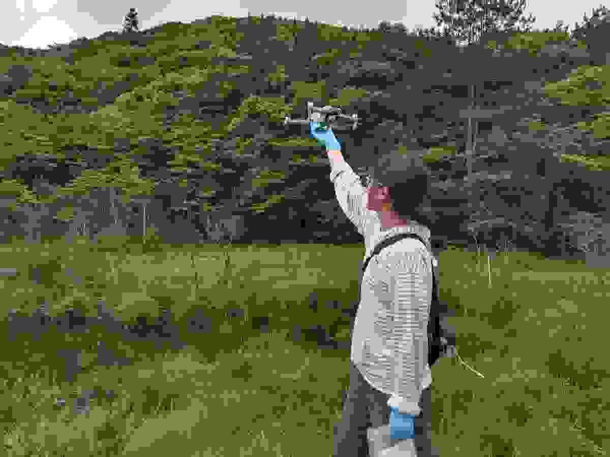 Section image