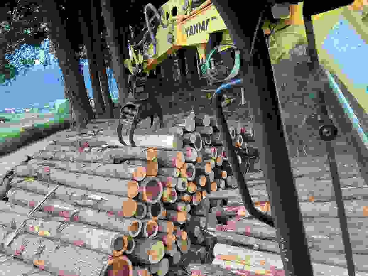 Section image