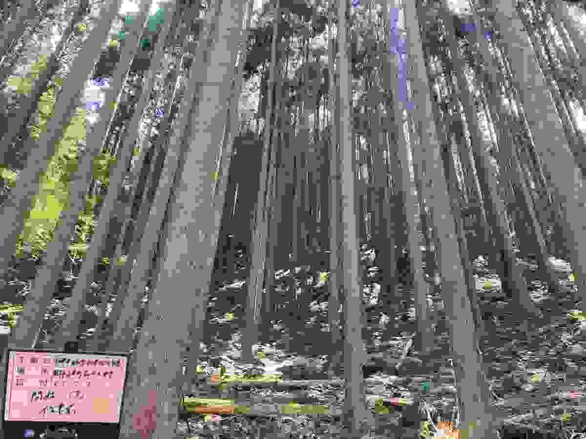 Section image