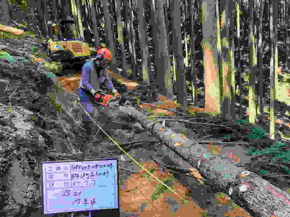 Section image