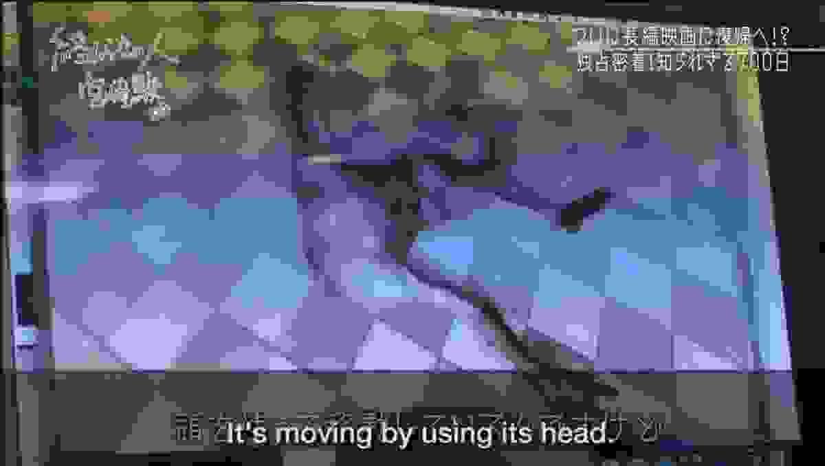 broken image
