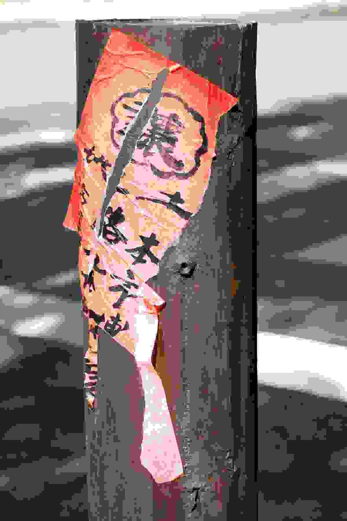 broken image
