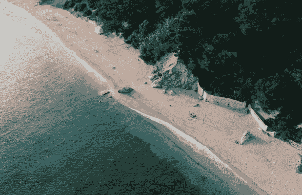 Section image