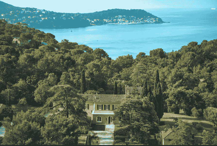 Section image