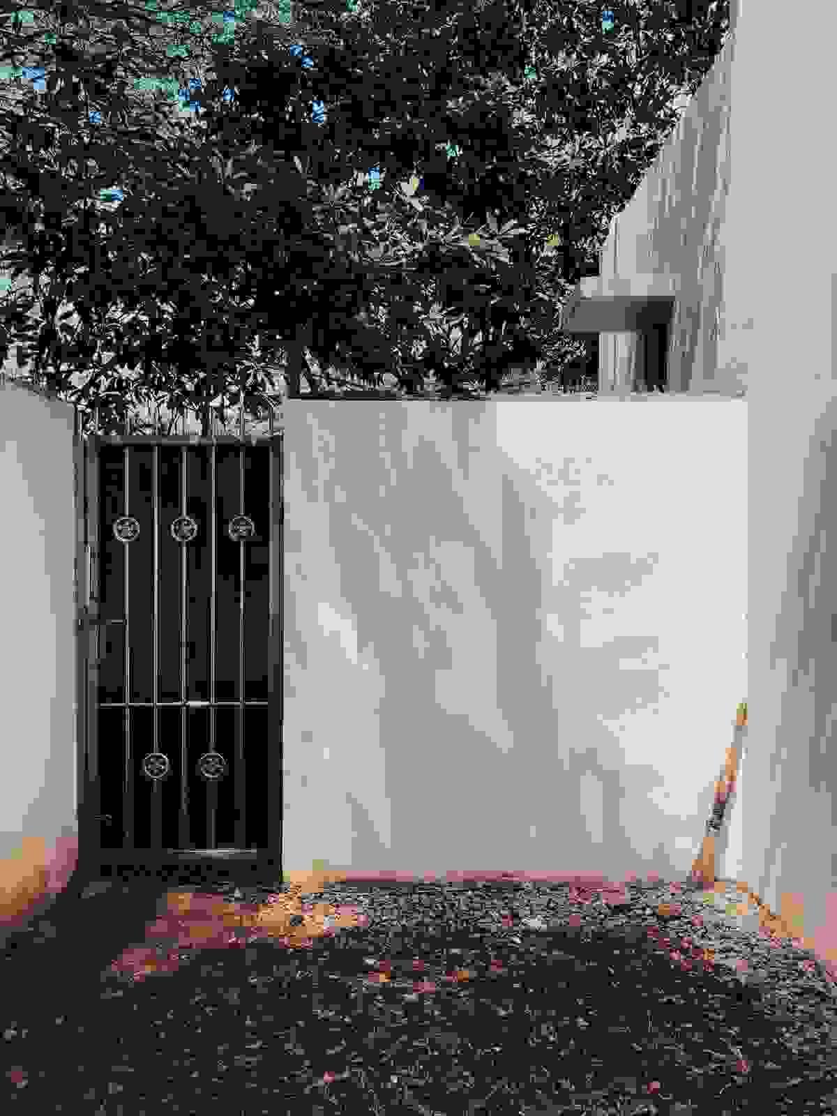 White block wall with custom iron gate in alley entrance of home in Avondale Az