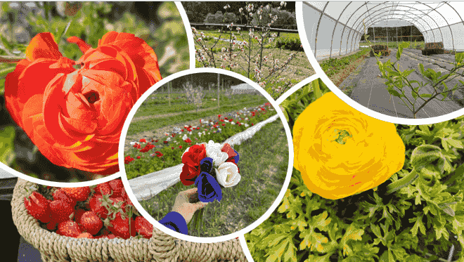 Explore our fresh and authentic products! Discover our local selection Martigues - Naturally local Explore our fresh and authentic products! Discover our local selection Martigues - Naturally local