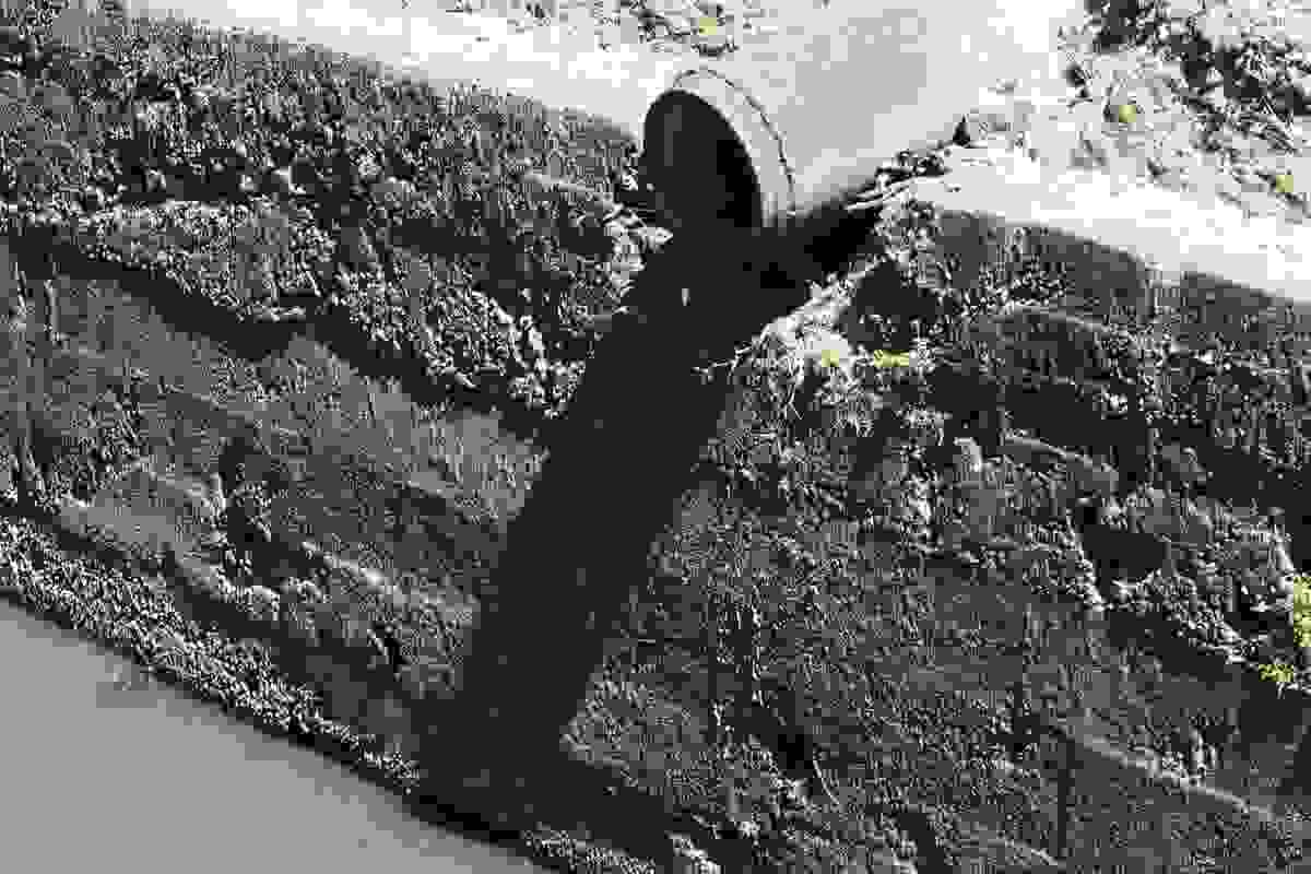 broken image