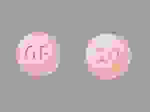 broken image