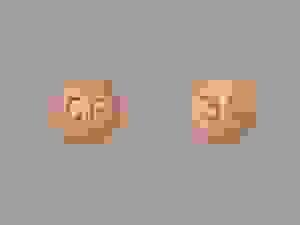 broken image