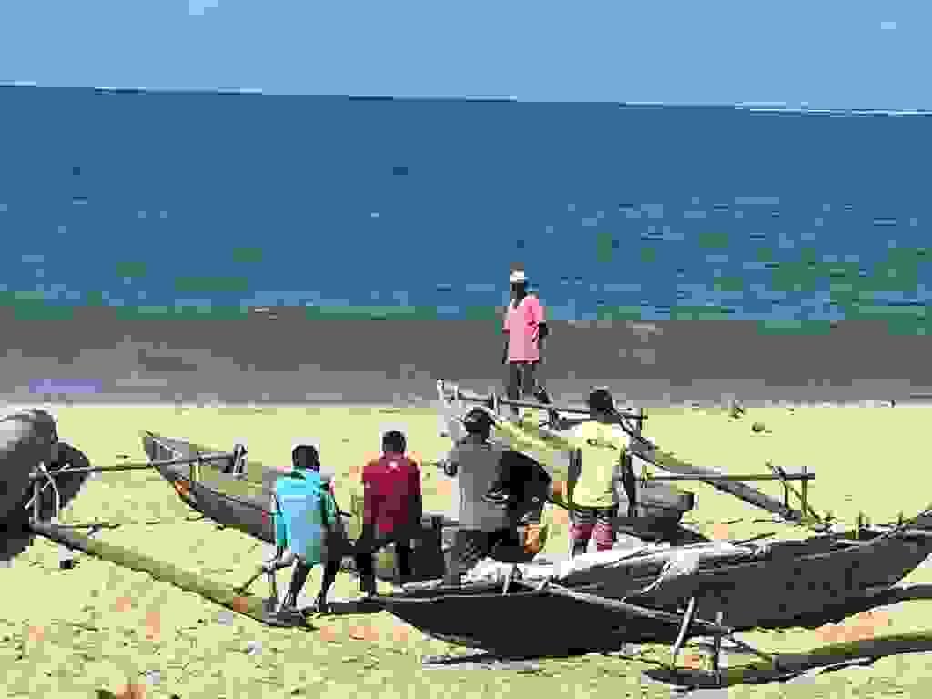 Section image