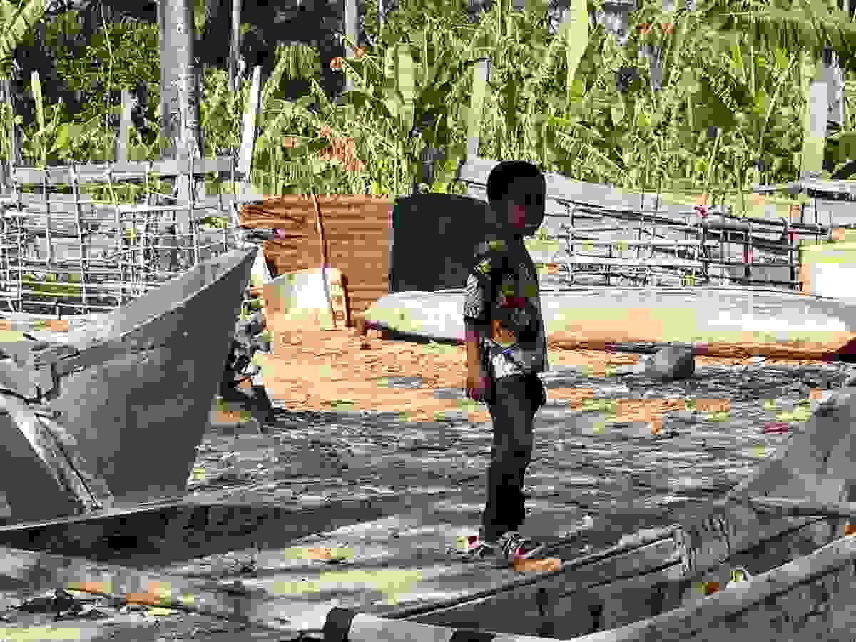 Section image