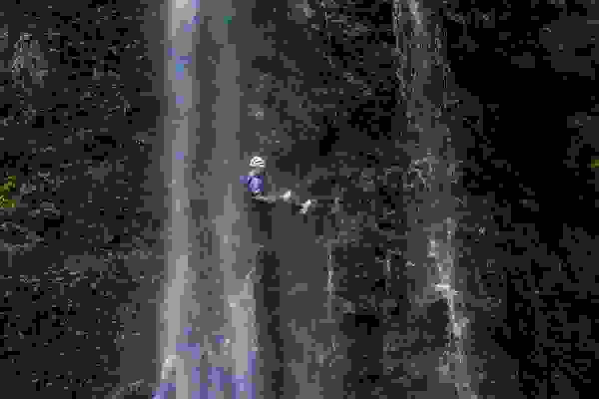 Section image