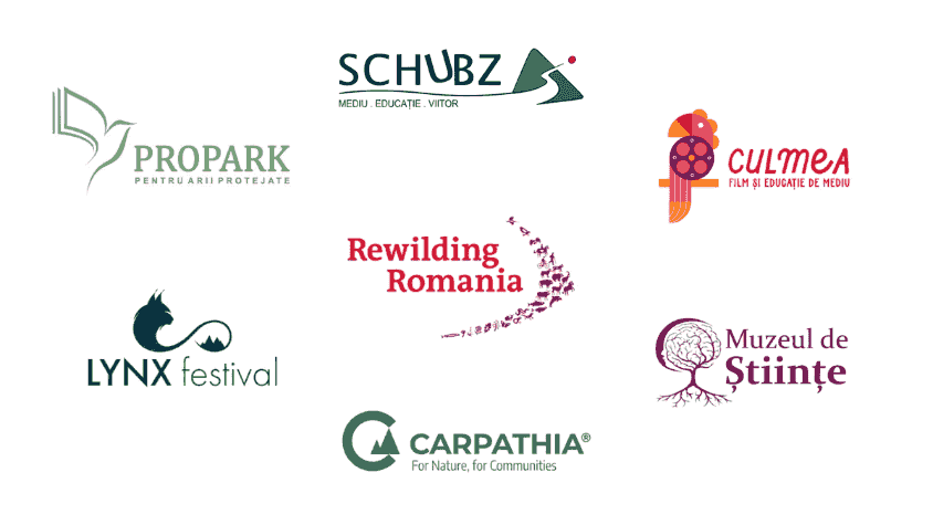 Join us in fostering a generation of environmentally conscious tech-savvy learners. Empower Students with Essential Digital Skills equipping K12 teachers and students with digital skills and tech know how to better protect the planet Join us in fostering a generation of environmentally conscious tech-savvy learners. Empower Students with Essential Digital Skills equipping K12 teachers and students with digital skills and tech know how to better protect the planet