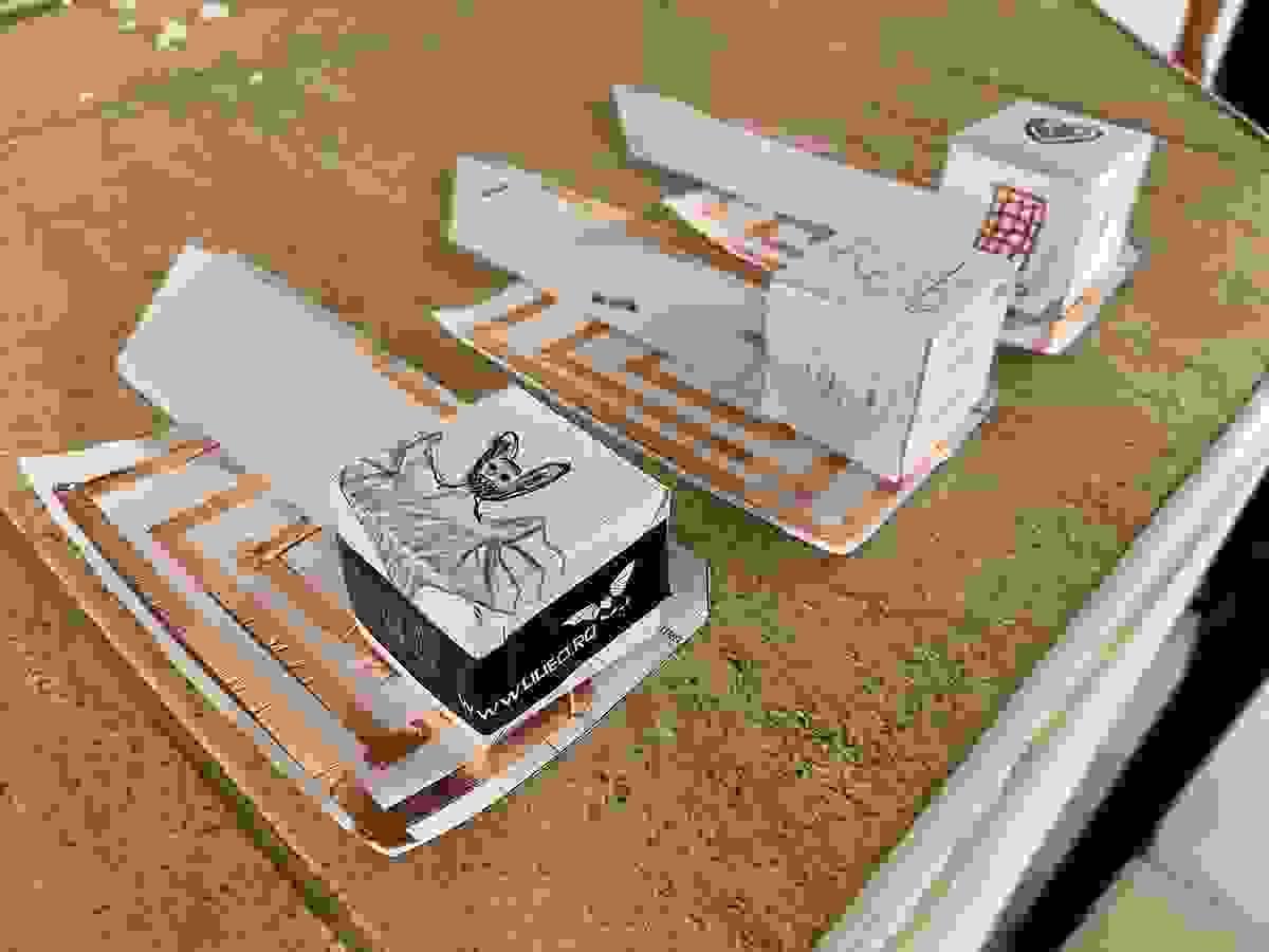 broken image
