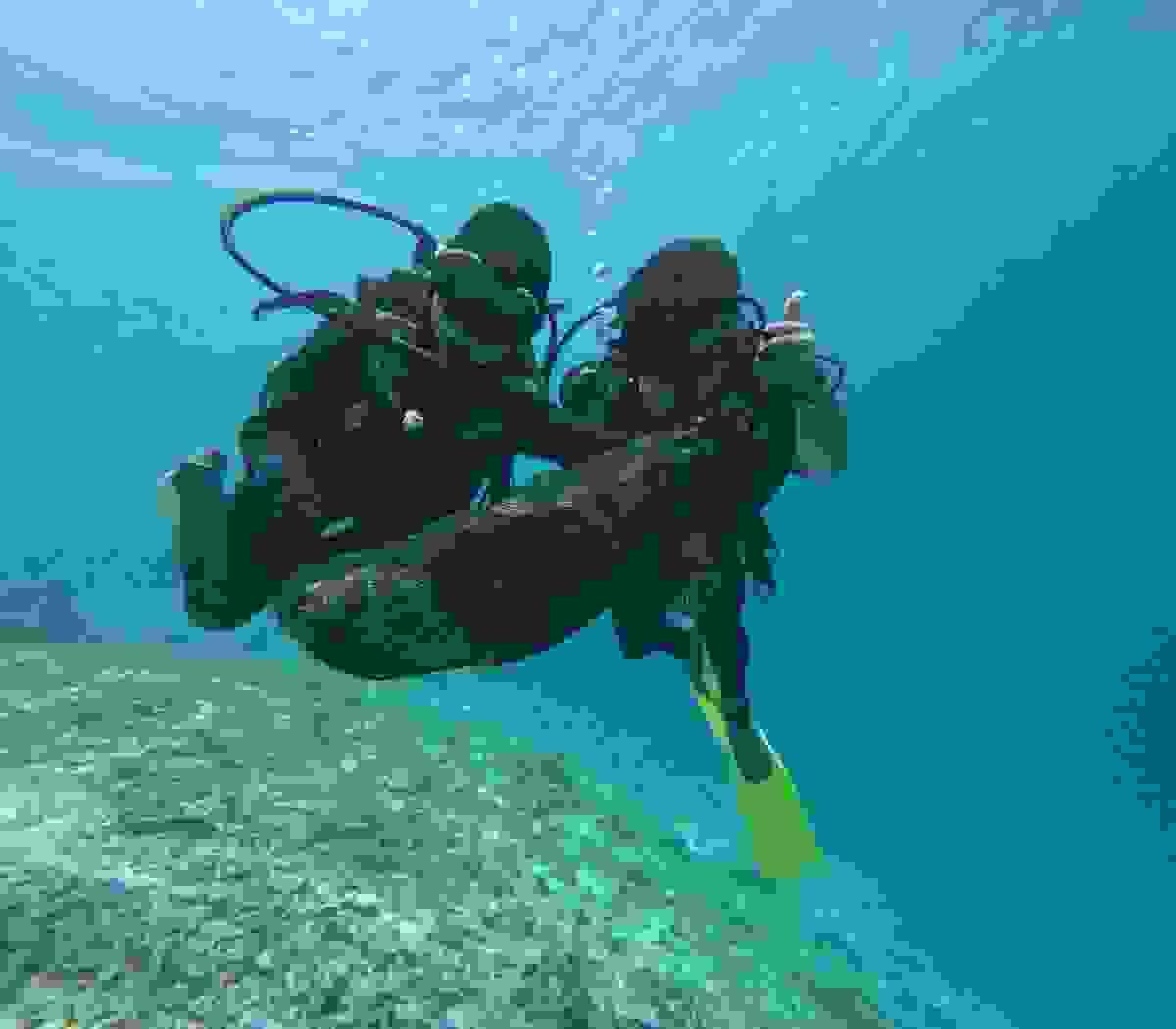 Section image