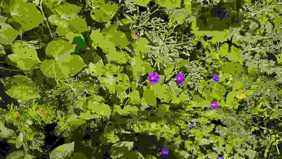 Section image