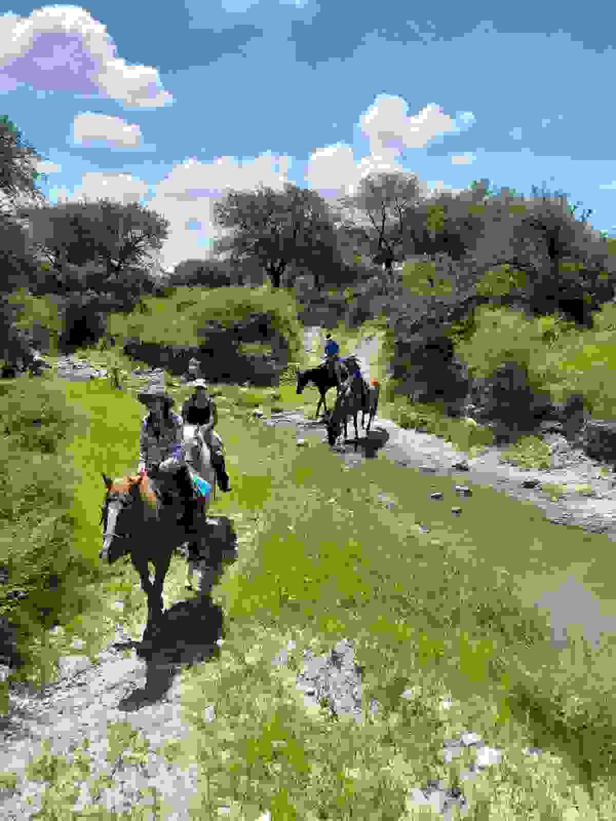 Section image