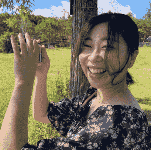 broken image
