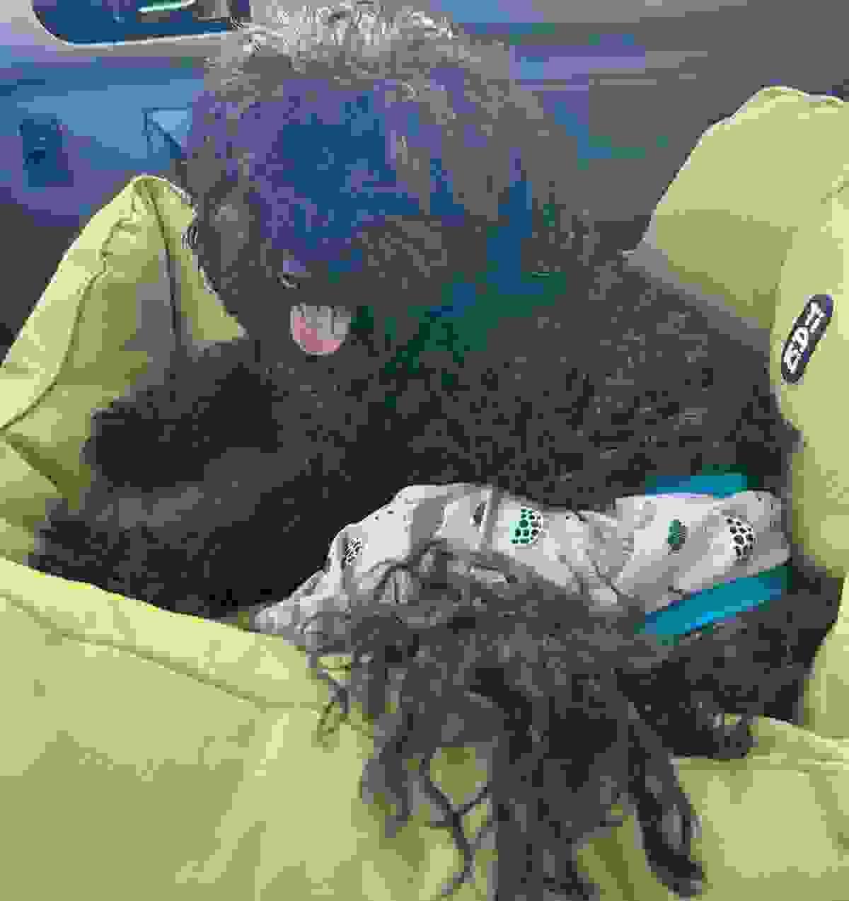 We provide specialized pain management solutions for dogs suffering from arthritis, hip dysplasia, and other painful conditions. Our approach includes a combination of modalities such as laser therapy, acupuncture, and therapeutic exercises to alleviate discomfort and improve quality of life. We aim to help your pet enjoy a more active and pain-free lifestyle. Pain Management What We Do canine physiotherapy We provide specialized pain management solutions for dogs suffering from arthritis, hip dysplasia, and other painful conditions. Our approach includes a combination of modalities such as laser therapy, acupuncture, and therapeutic exercises to alleviate discomfort and improve quality of life. We aim to help your pet enjoy a more active and pain-free lifestyle. Pain Management What We Do canine physiotherapy