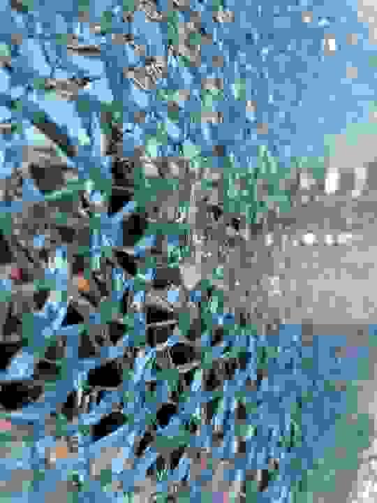 At Fusunchemical, we are dedicated to continuous innovation in film technology. Our research and development team works tirelessly to create new solutions that meet the evolving demands of our clients, ensuring that we remain at the forefront of the industry. Commitment to Innovation What We Do fusunchemical is a PVB film and SGP film manufacturer in china. At Fusunchemical, we are dedicated to continuous innovation in film technology. Our research and development team works tirelessly to create new solutions that meet the evolving demands of our clients, ensuring that we remain at the forefront of the industry. Commitment to Innovation What We Do fusunchemical is a PVB film and SGP film manufacturer in china.