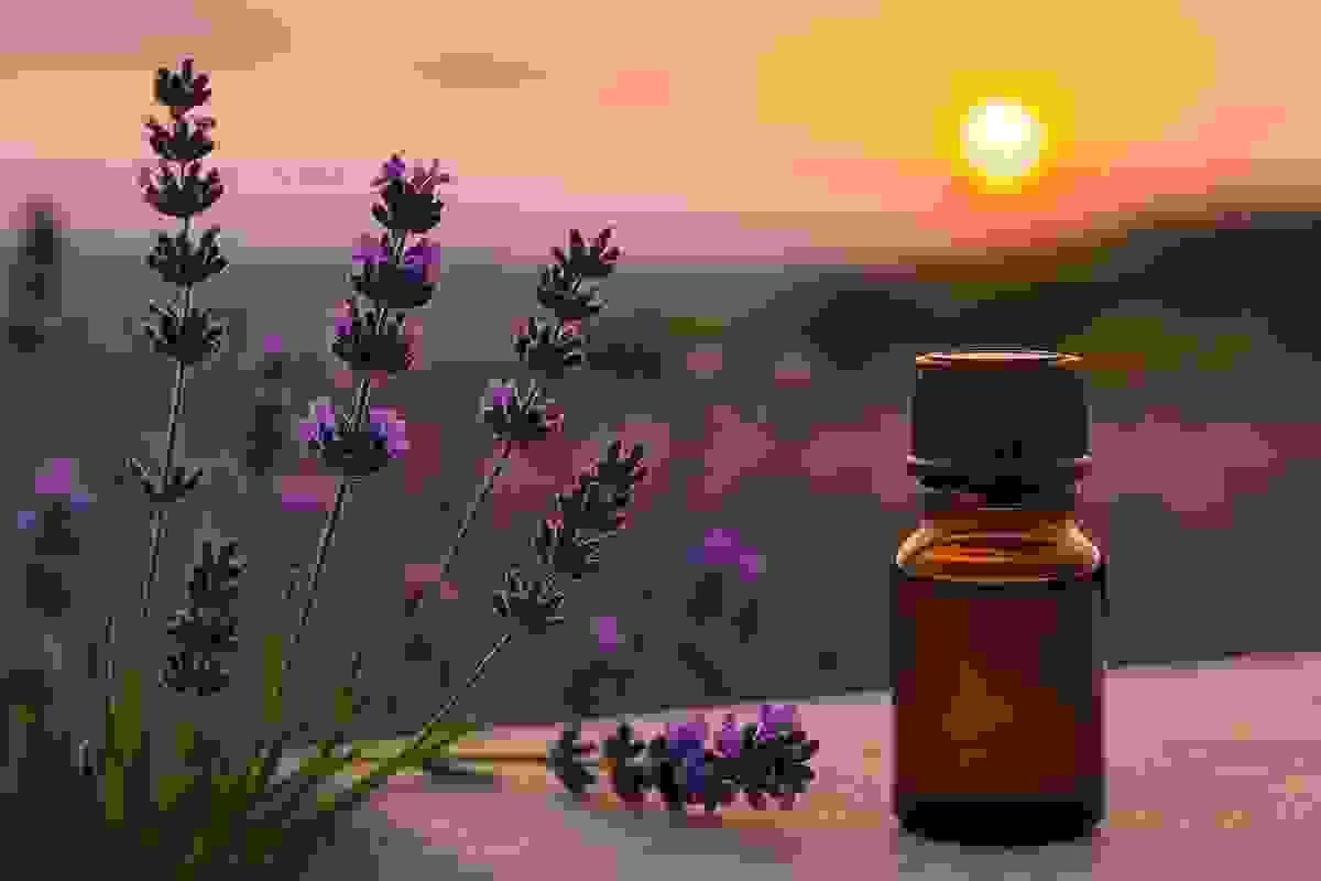 Accompany us on a journey to natural beauty and well-being Discover the power of essential oils Lynx Online Marketing is specialized in affiliate marketing with a special focus on essential oils as well as body and hair oils. Our goal is to make high-quality products known through effective marketing strategies and to increase the sales of our partners. Our services include: - Promotion and distribution of essential oils and personal care products - Development and implementation of targeted affiliate marketing campaigns - Building and maintaining partnerships with leading providers In the near future, we plan to expand our product range under our own brand "Lynx Naturals" to offer our customers even more high-quality natural products.