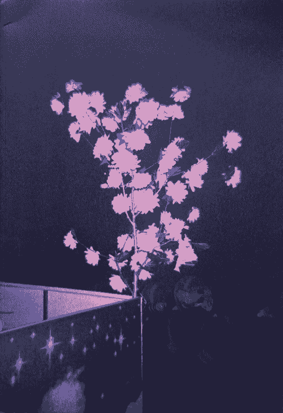 broken image