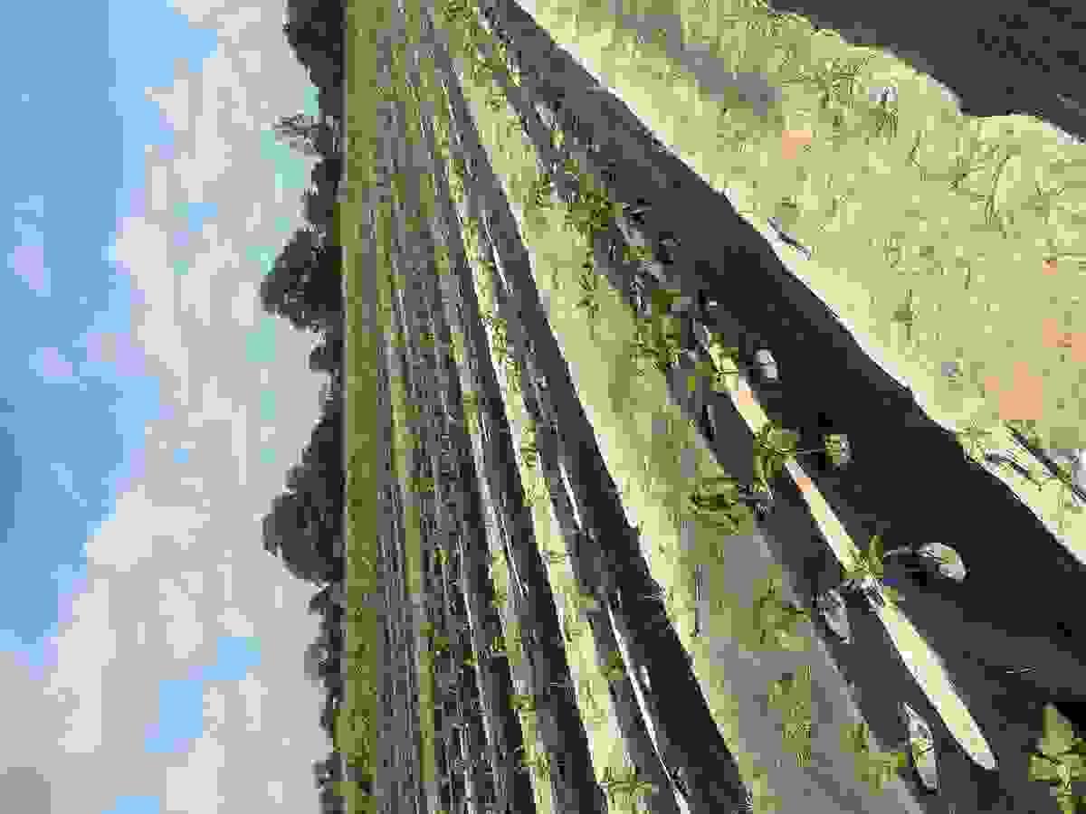 Section image