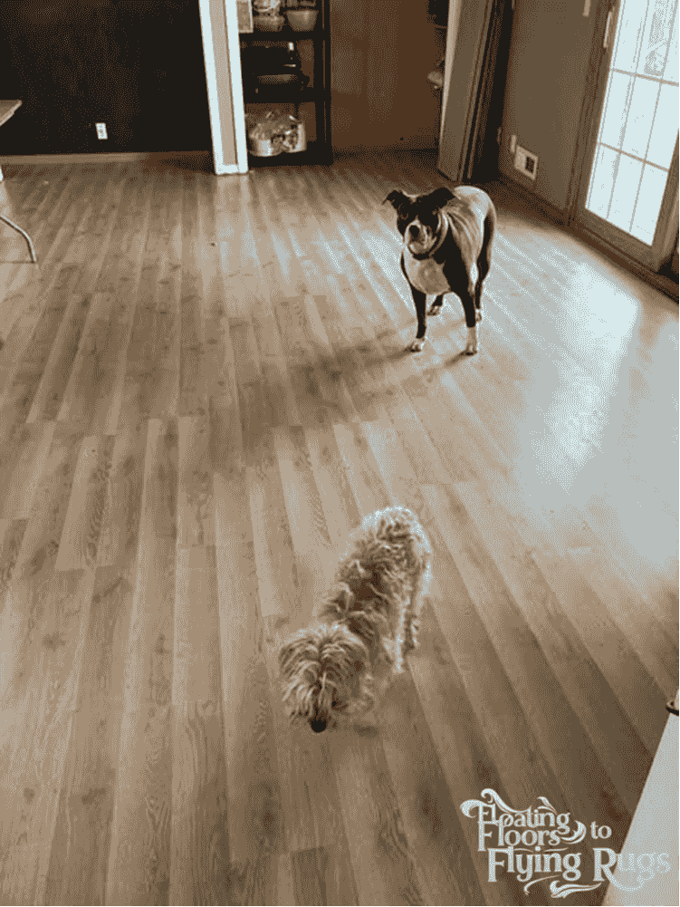 Rental property laminate flooring turnover in Twin Cities MN by Floating Floors to Flying Rugs