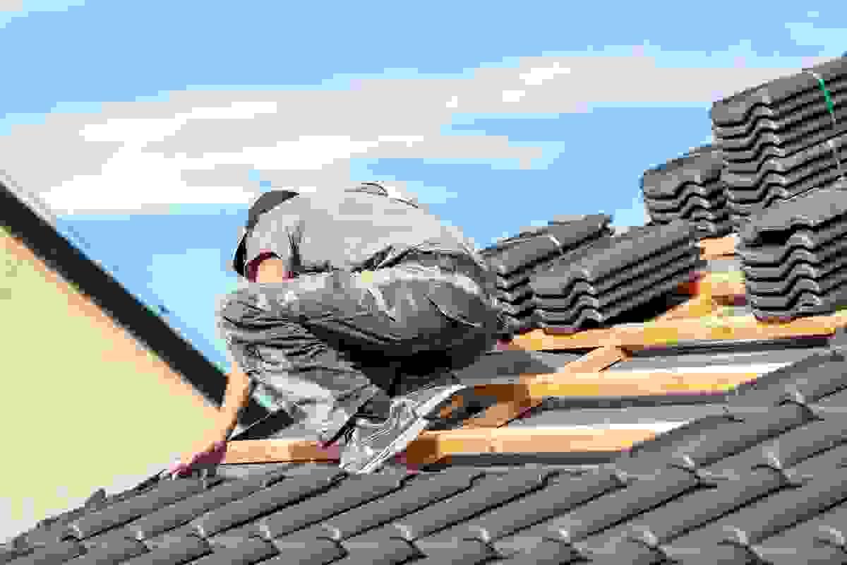 broken image