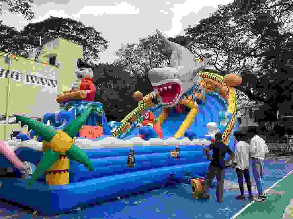 Section image