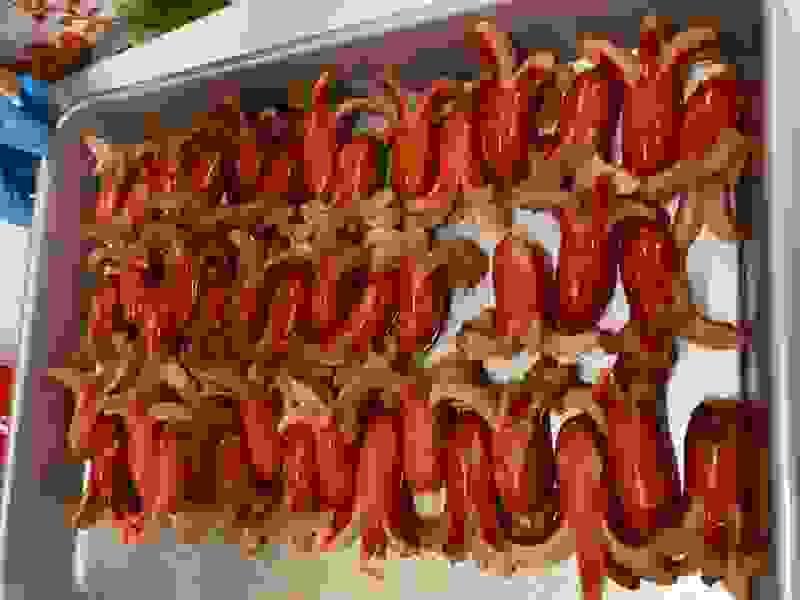 broken image