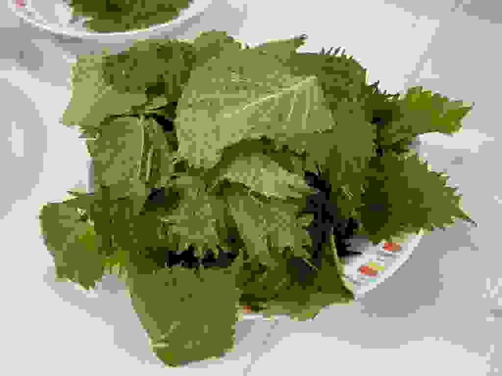 broken image