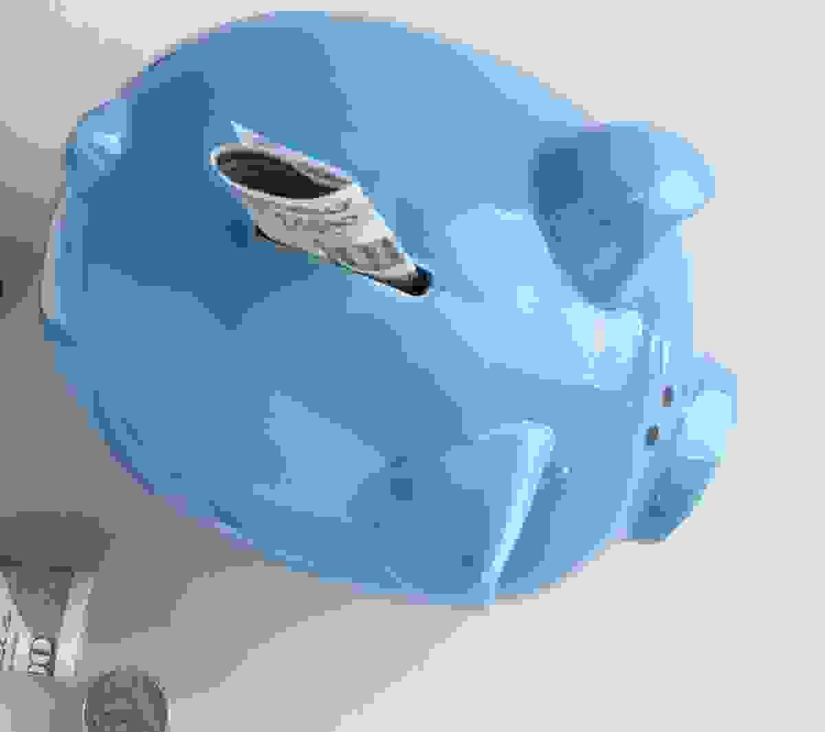 Section image