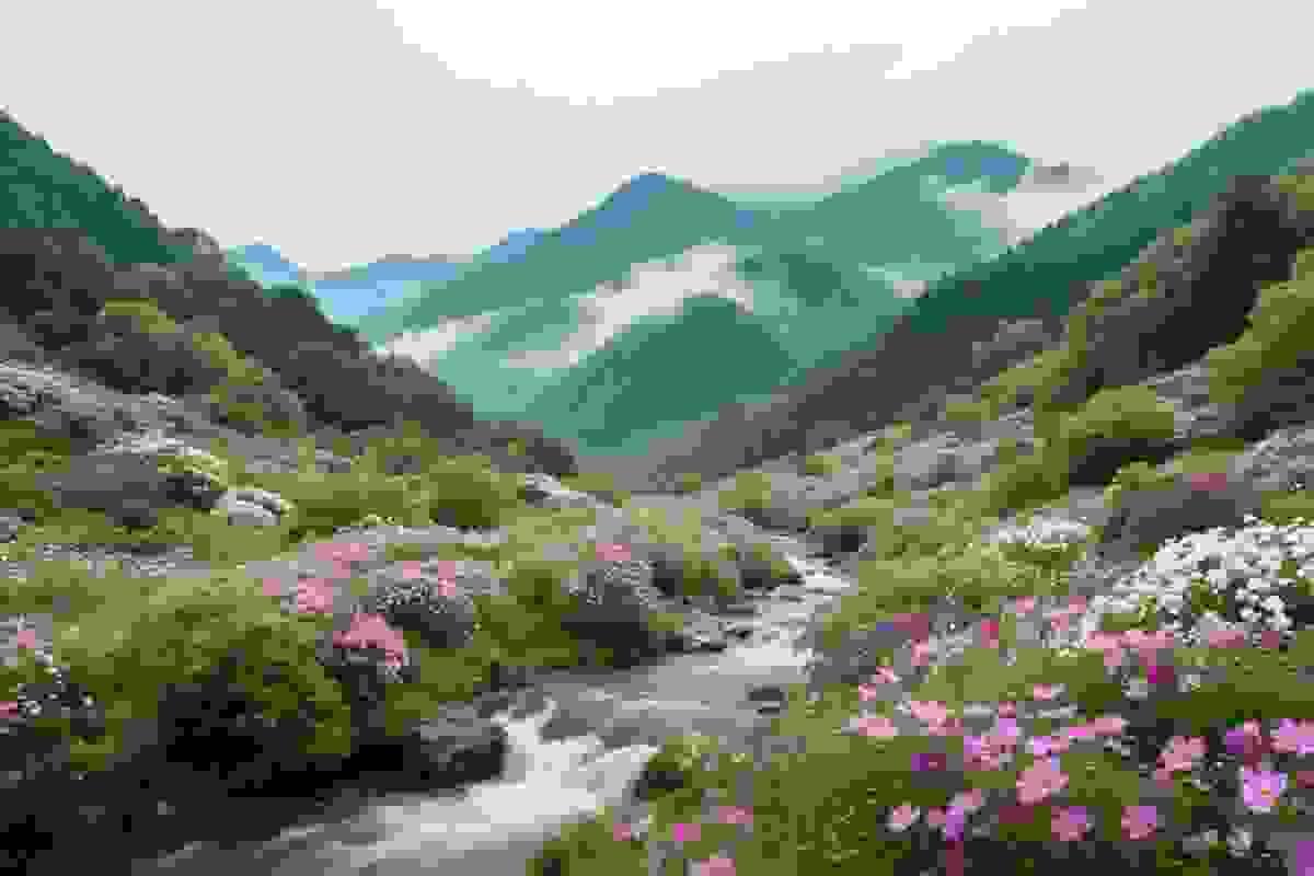 Section image