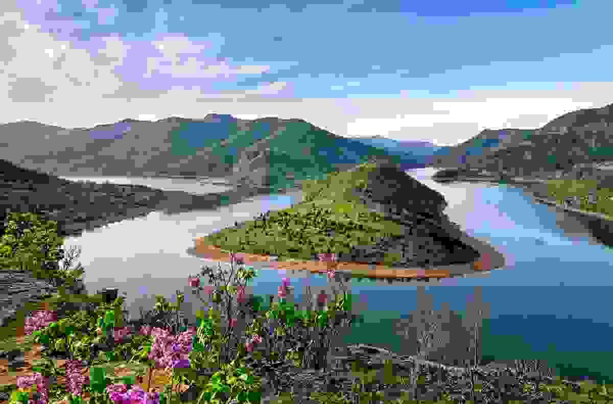 Section image