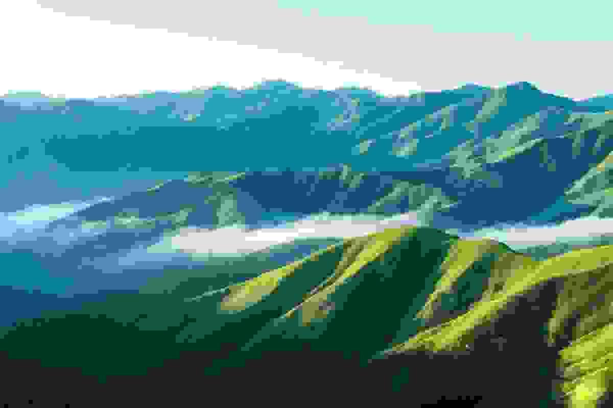 Section image