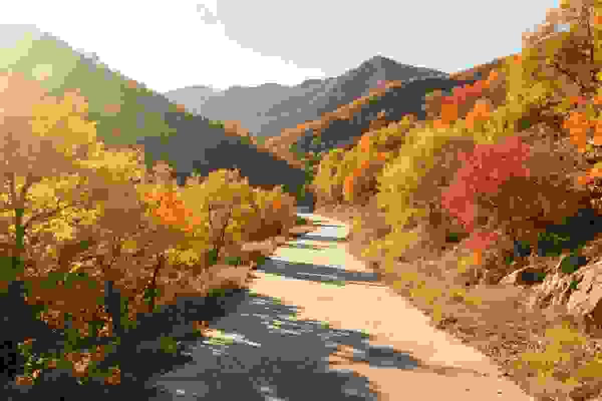 Section image